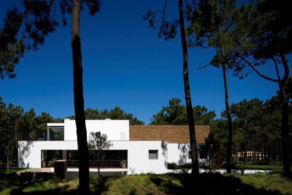 immobilier Maison 2484