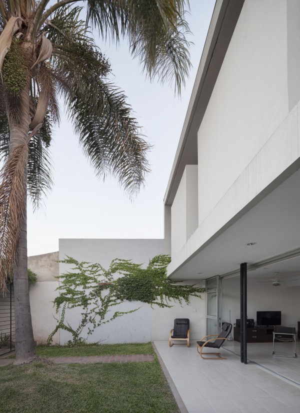 immobilier Maison 254