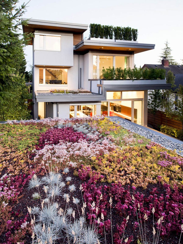immobilier Maison 2658