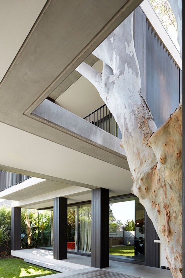 immobilier Maison 271