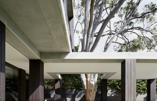 immobilier Maison 271