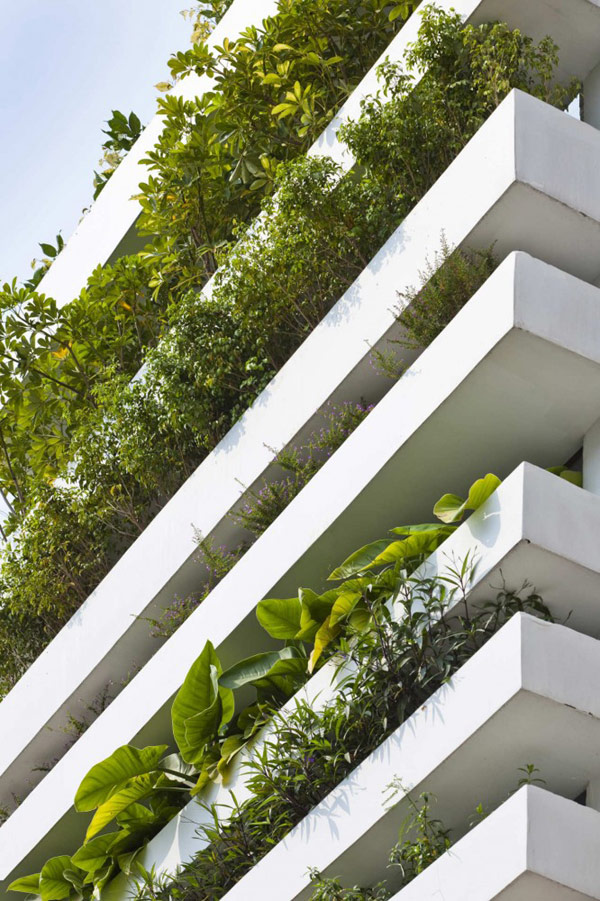 immobilier Maison 2733