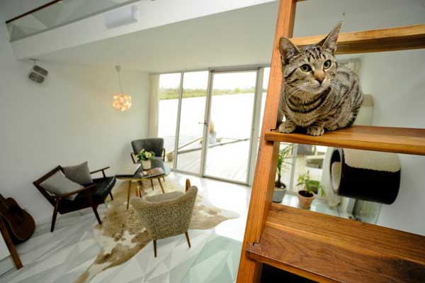 immobilier Maison 2762