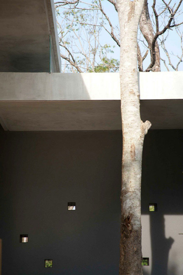 immobilier Maison 2831