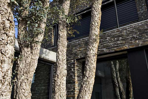 immobilier Maison 2908