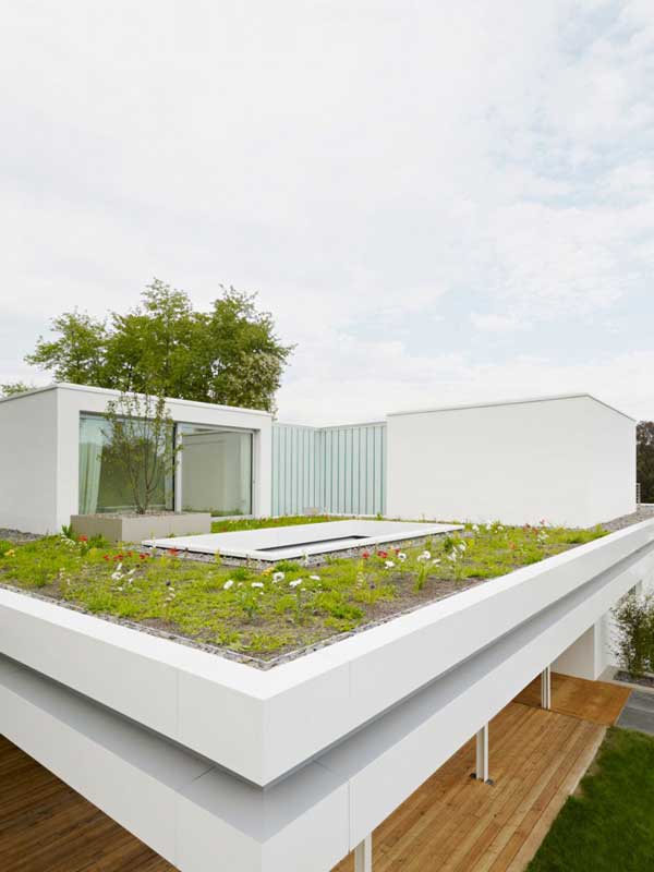 immobilier Maison 2945