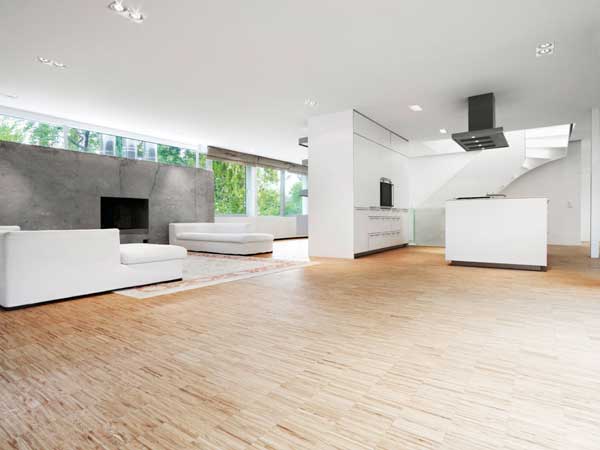 immobilier Maison 2945