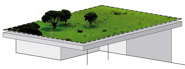 immobilier Maison 2945