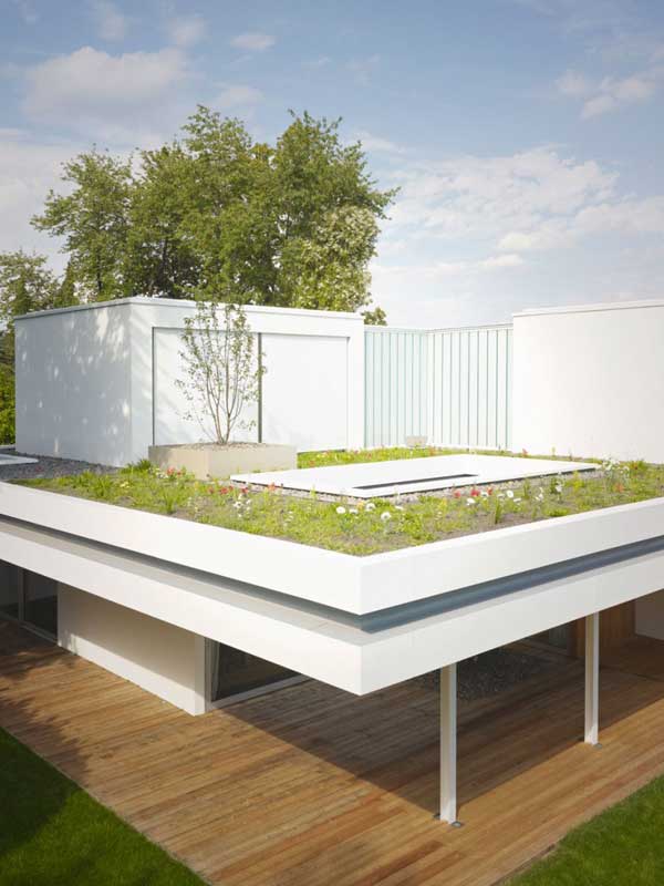 immobilier Maison 2945