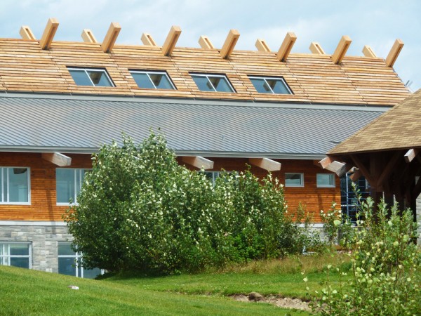 immobilier Maison 299