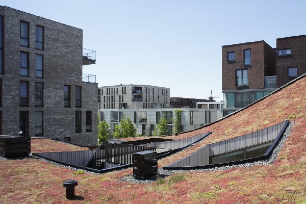 immobilier Maison 3017