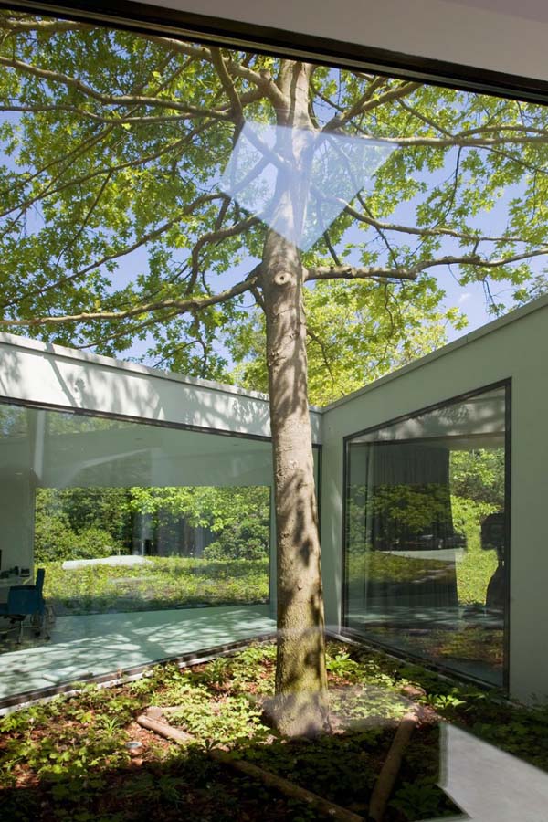 immobilier Maison 3159