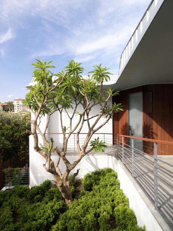 immobilier Maison 3175