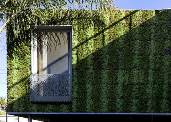 immobilier Maison 3220
