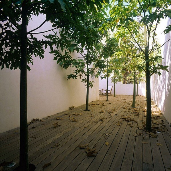 immobilier Maison 3257