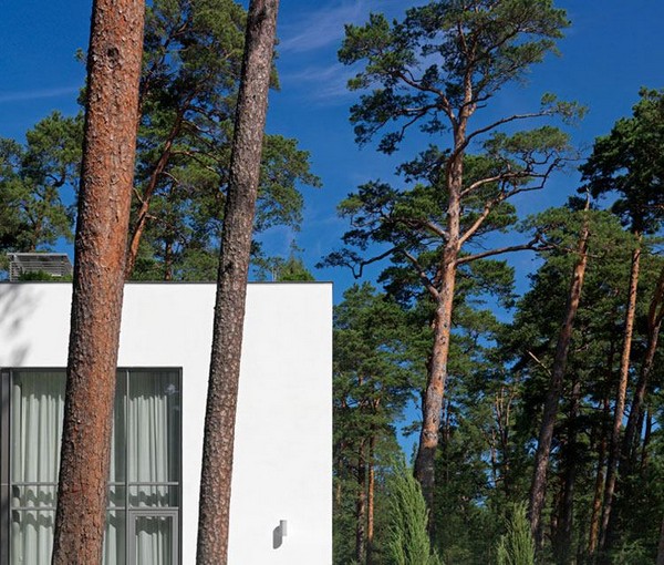 immobilier Maison 3313