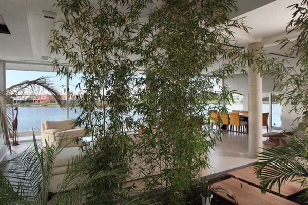 immobilier Maison 3338