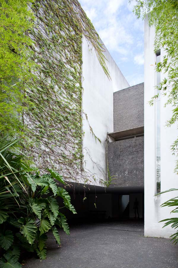 immobilier Maison 3375