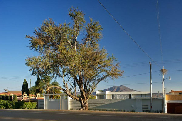 immobilier Maison 3380
