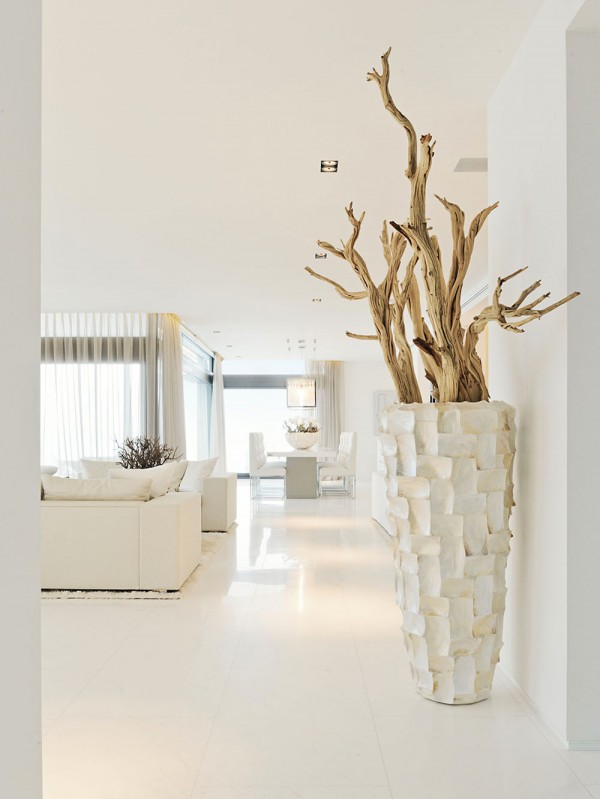 immobilier Maison 380