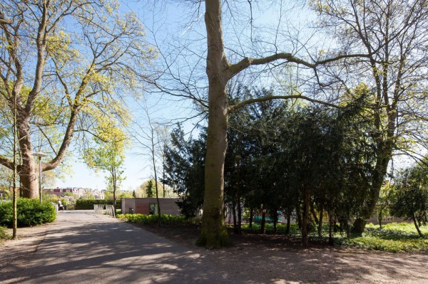immobilier Maison 391