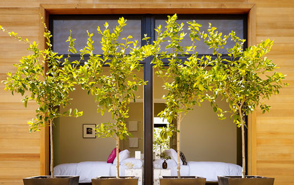 immobilier Maison 4367
