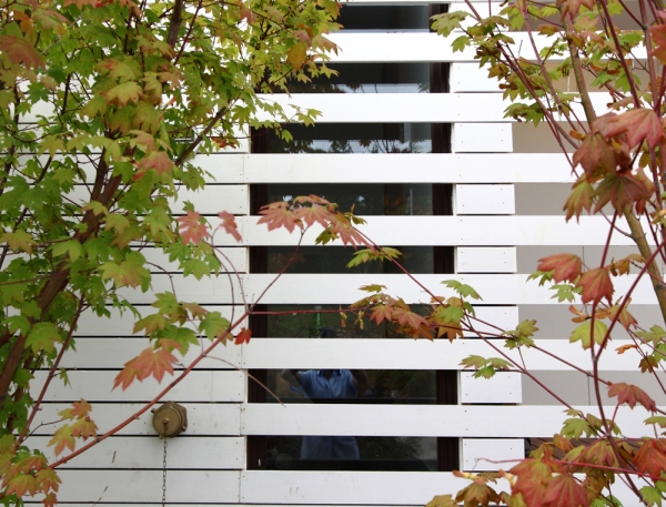 immobilier Maison 4486