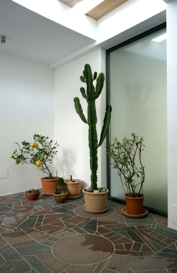 immobilier Maison 4624