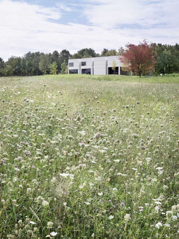 immobilier Maison 465