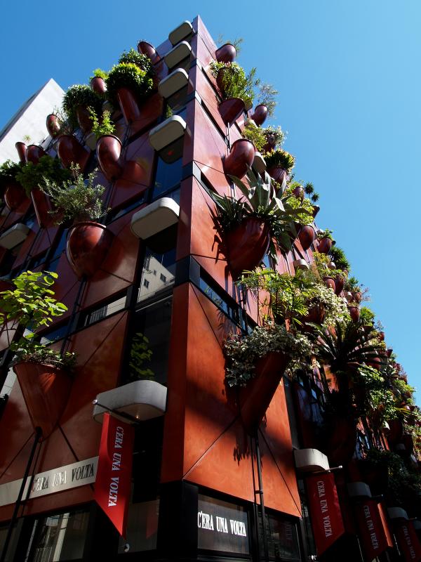 immobilier Maison 4670