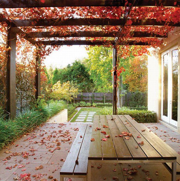 immobilier Maison 4906