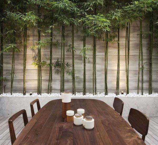 immobilier Maison 5340