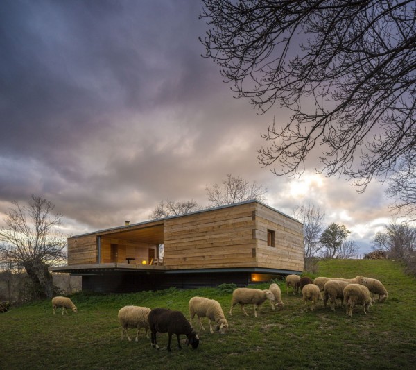 immobilier Maison 536