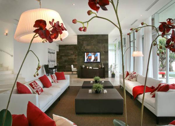 immobilier Maison 5409