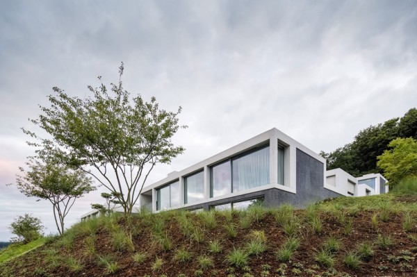 immobilier Maison 554