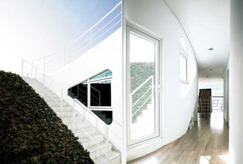 immobilier Maison 6041