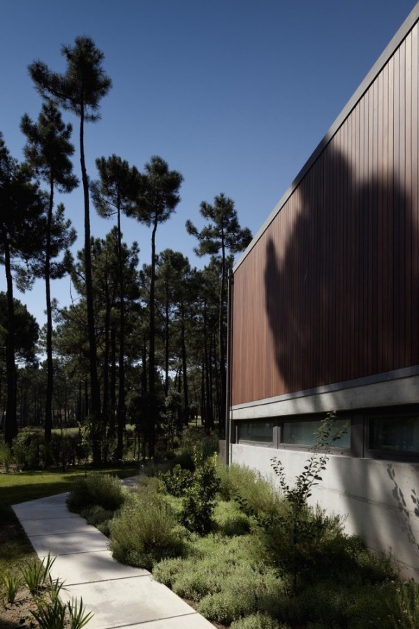 immobilier Maison 641