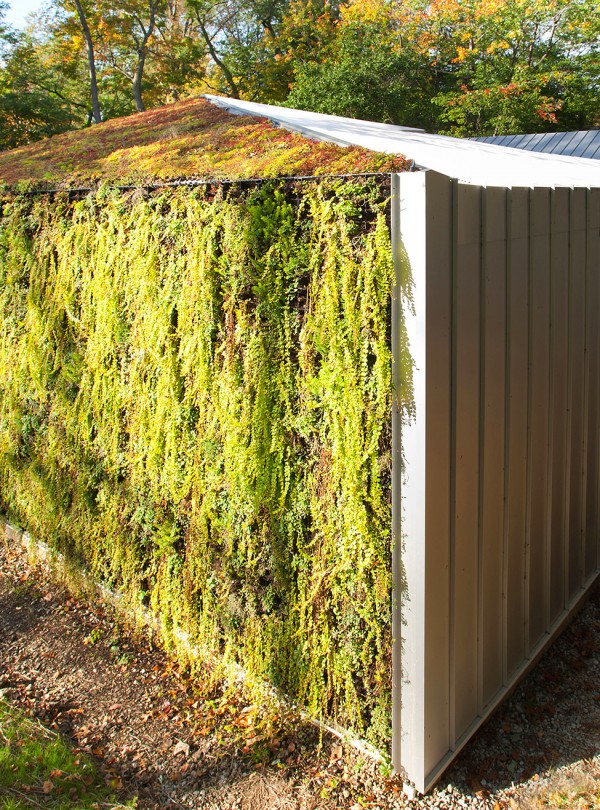 immobilier Maison 654