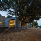 Maison Conception de maison de grec moderne explorant la conception traditionnelle et à jour