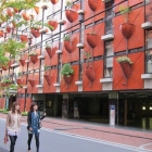 Maison Jardin vertical sur le renforcement des murs à Osaka