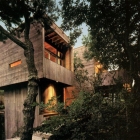 Maison Maison de l'arbre tout-utilitaires de Bates Masi architectes