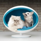 Meuble Moderne élevé lit de luxe pour chiens et chats : Padpod de l'écorce & Miao