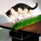 Meuble Tableau chat facile avec semoir intégré herbe