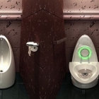 Salle de bain La toilette qui se transforme en un urinoir