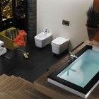 Salle de bain Idée de Design contemporain salle de bain de Jacuzzi